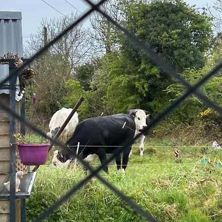 Vakantiehuis Katie's Cosy Ballyjamesduff